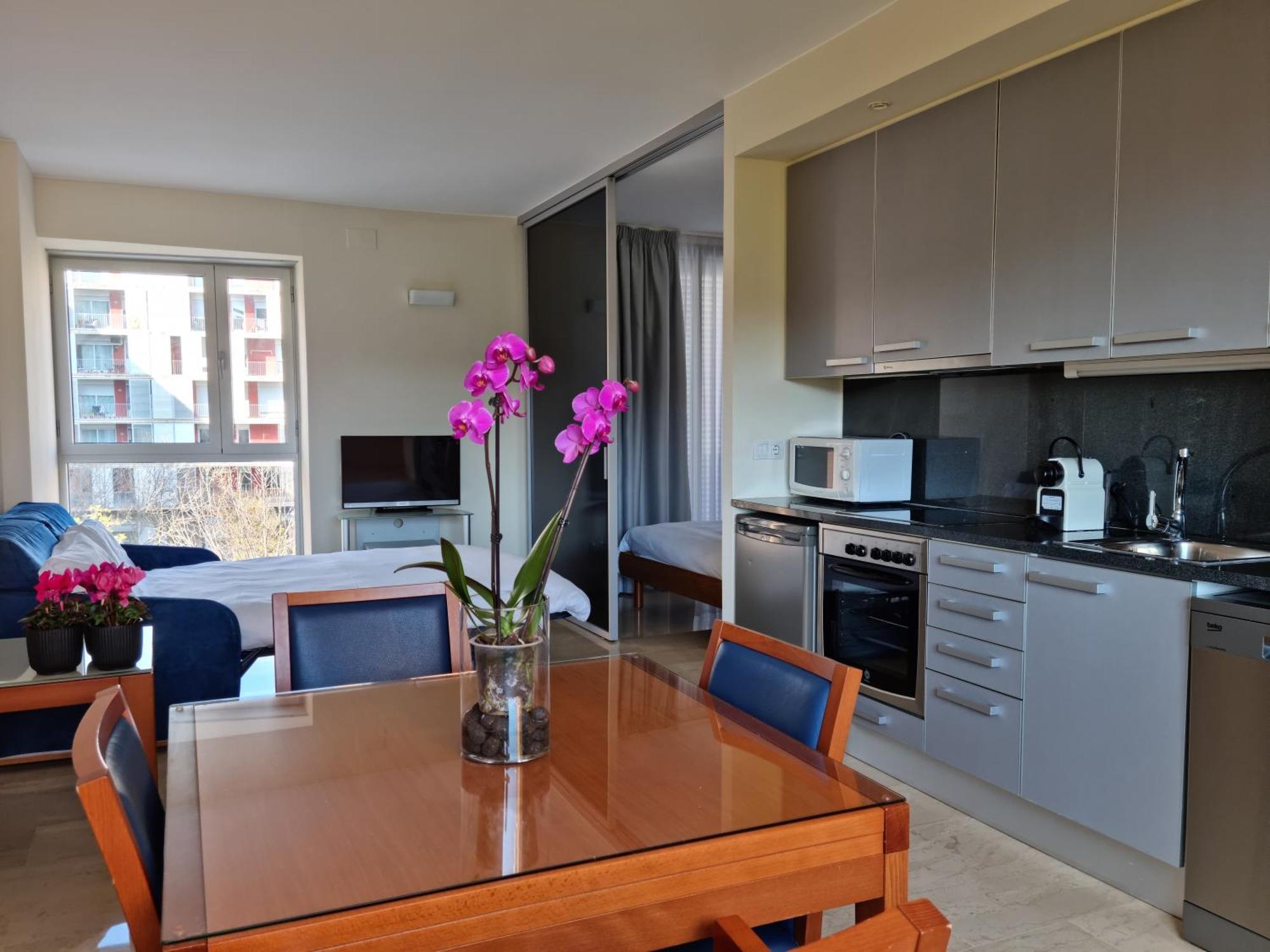 Els Quimics Apartment Girona